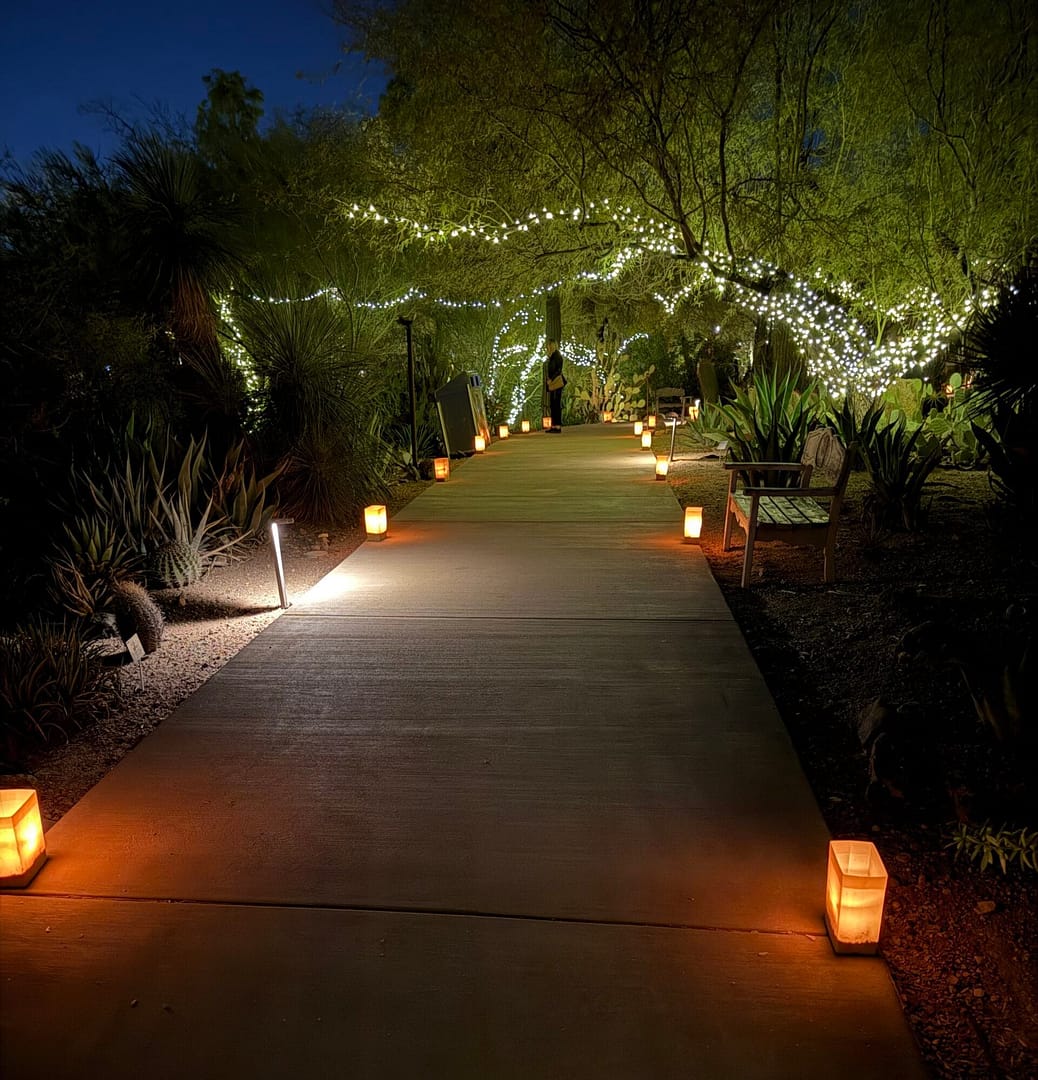 Lights! Music! Lights! Music!